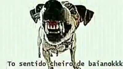 Cheirinho de baiano 😋