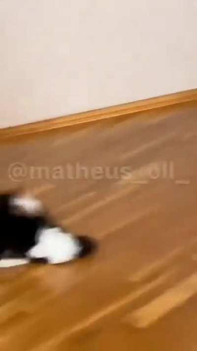 num corre nao disgracado