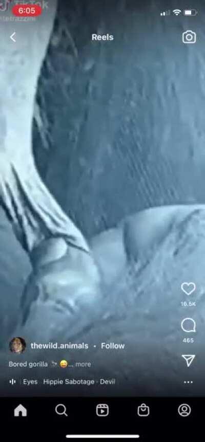 Casually waiting for market open on Monday