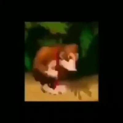 el cerebro de rod be like