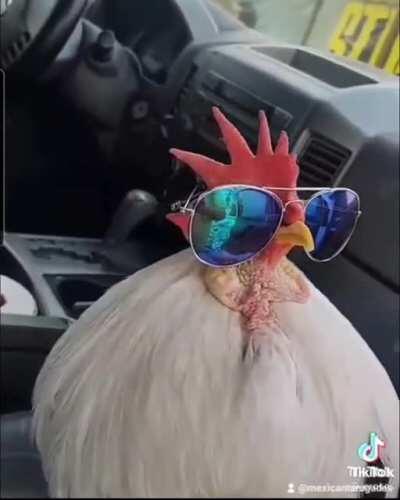 Commandante CooKoo, I believe he is in charge of El Puggo Antrax that was posted here yesterday. Please correct me if I am wrong