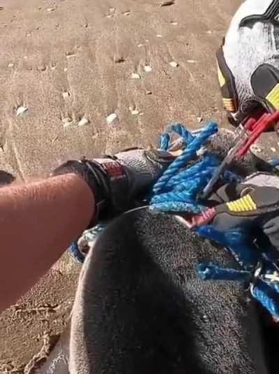 Guys save pup from commercial fishing net