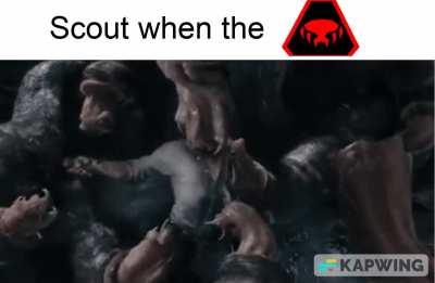 I hate Cave Leeches.