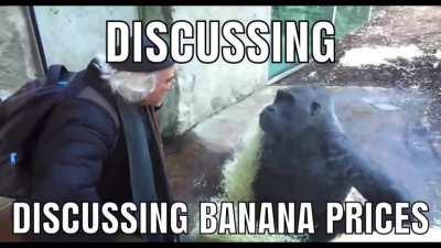 An East Empire Company Employee discusses the complexities of the fruit market with an Imga merchant