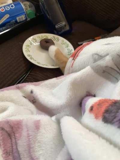 Attempted donut theft