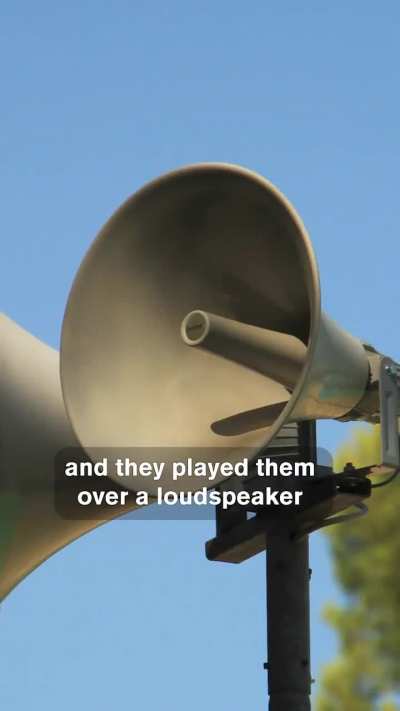 Elephants Call Each Other by Name