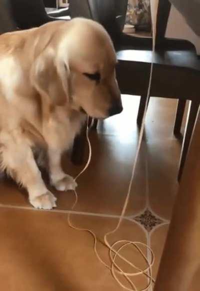 Efficient and Appealing