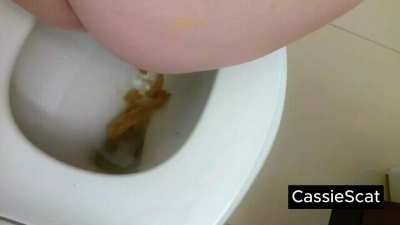 Cute, Casual Toilet Poo (+ wiping and flushing!) [F] [GIF]