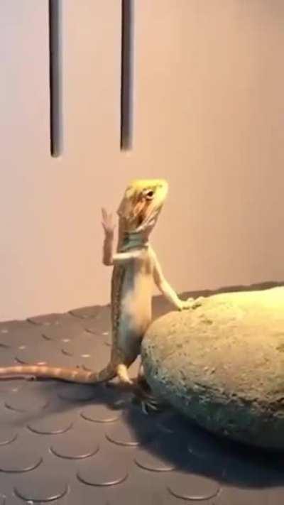 You must become one with the rock