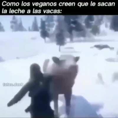 Es la primera vez que uso reddit y vine directamente aca