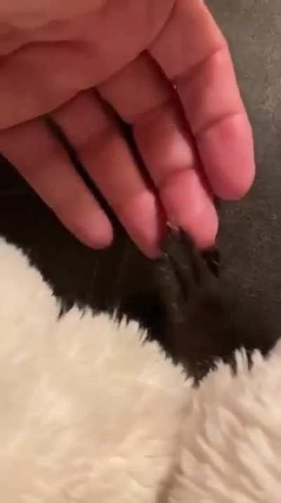 demon-like darkness lunk attempts to pull humanity to the underworld