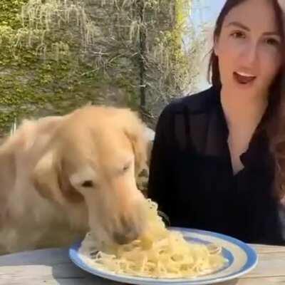 To reenact the iconic “ Lady and the Tramp” scene