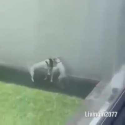 Lebron, Steph and KD congratulating each other after the game against Serbia 