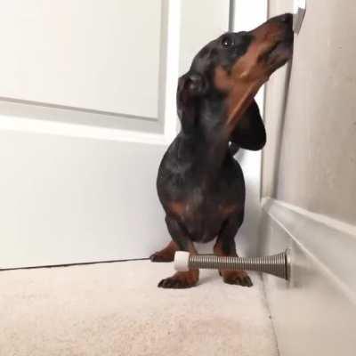 I can't stop watching this