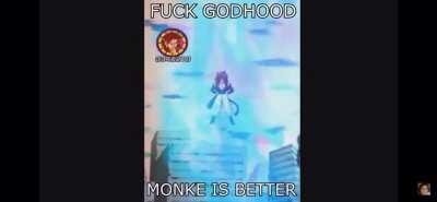Gogeta Monke mains fighting god characters