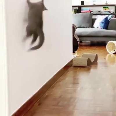 “I’m Ninja and I bounce off the walls.