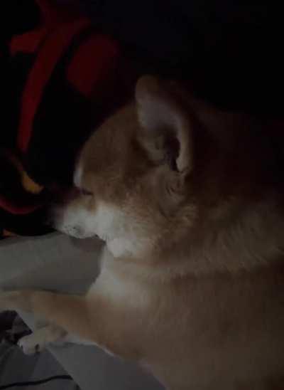 Dreaming about cheese