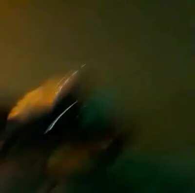 Just a regular day in Rio de Janeiro. Not even Simpsons creative team could come up with such a great idea.... A guy plays in the street with a wood reel and a GRENADE in his pocket.