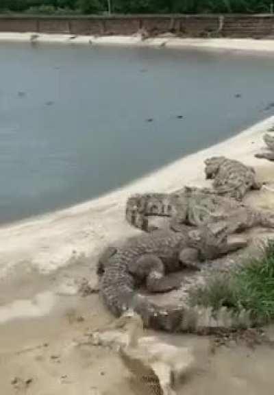 Karen encontrando o Corona