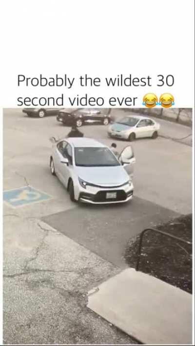 This geese [IDK might be a swan]