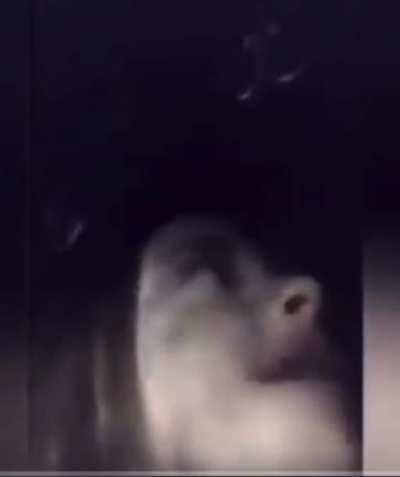 Pretending to go into her locker