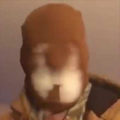 ATENÇÃO!!!! ESSE É UM ESPIÃO DE CAZUM00 E ELE PODE SE TRANSFORMAR EM QUALQUER GNOMO, CUIDADO COM QUEM VOCÊ ANDA