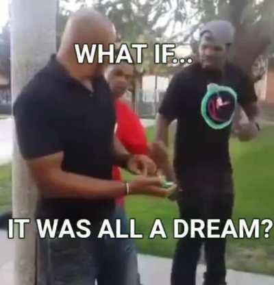 What dog? theres no dog... what are you talking about?