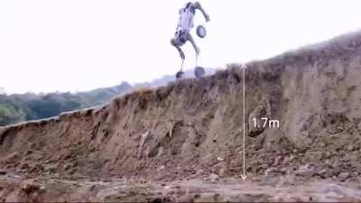 REVEALED: White Women will be having more sex with ROBOT DOGS than Pitbulls by 2025