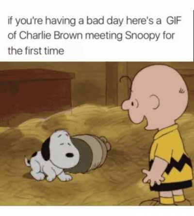 Sometimes all you need is a friend by your side