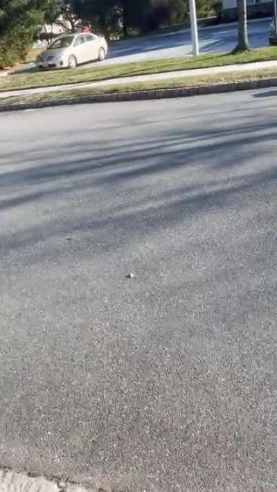 I definitely didn&rsquo;t make a ln ice plate for this, and for you guys.