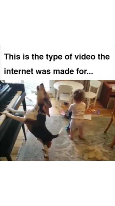 This is the type of video the internet was made for..