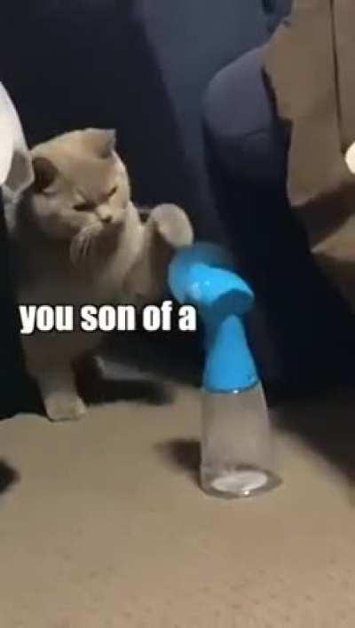 Cat vs Fan