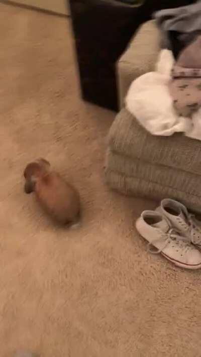 My little shadow 😅