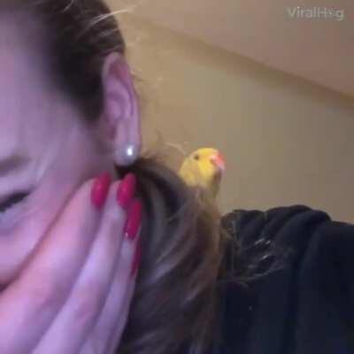 still one of my favorite videos of all time