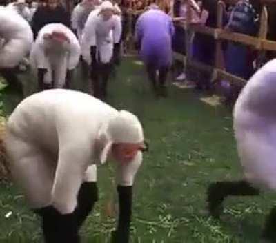 Average Azerbaijanis according to Armenians