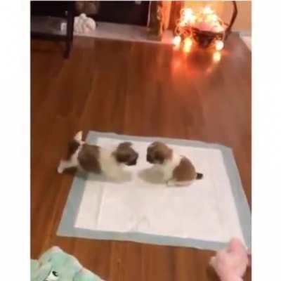 Ouch, stop hurting me