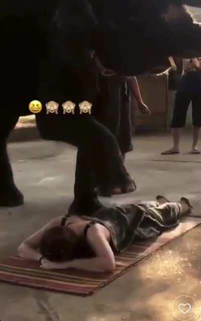 Irina and elephant:)