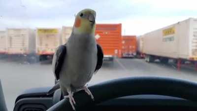 He was happy until he saw the truck