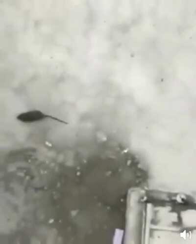 есть кирпич