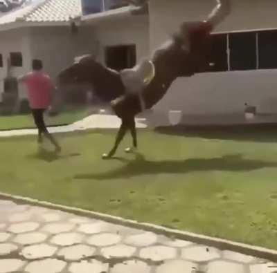 Hahaha, Don't Do this Bro...