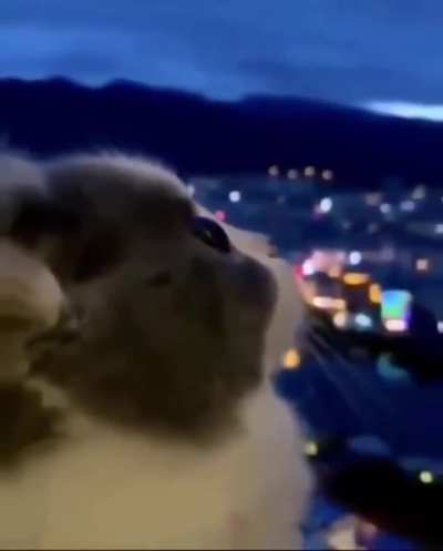 average everything i am listen