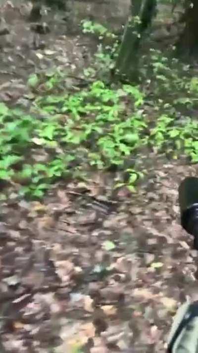 After an intense firefight, Ukrainian troops surround and capture a group of Russian orcs in the forests near Lyman.