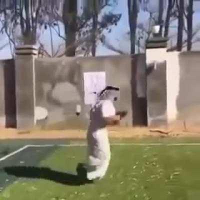 secret training camp footage