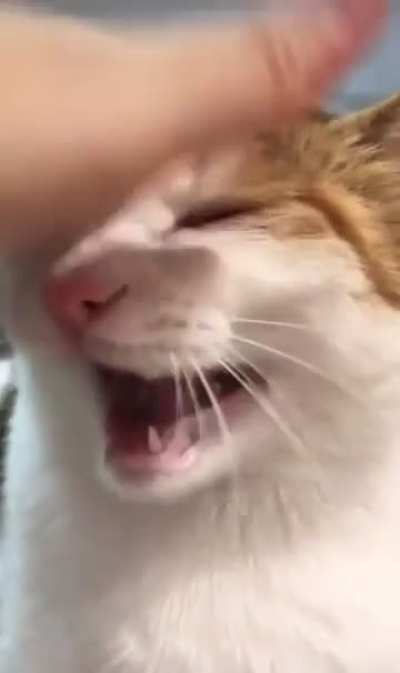 But you promised, human… 🥺