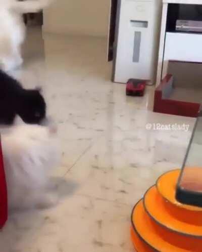 Hey guys, what’s this?