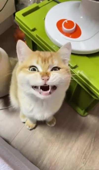 Probably needs a reboot, prrrrogram a bit laggy