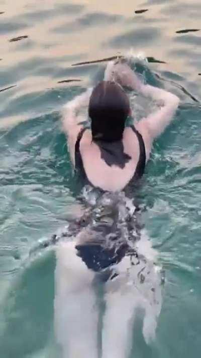 Marina swimming (again)