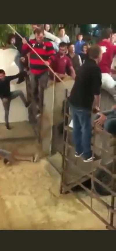 Freddy krueger a bull and an idiot