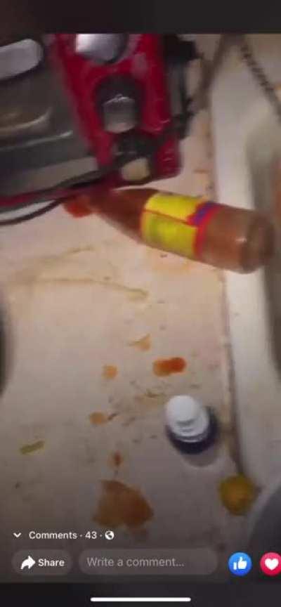 Allow HoodMeals To Send You On A Harrowing Odyssey Of Culinary Nightmarishness