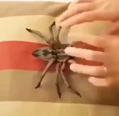 Legalize Nuclear Bombs